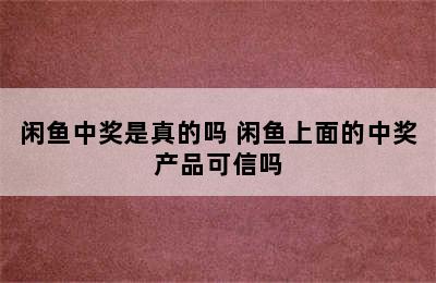 闲鱼中奖是真的吗 闲鱼上面的中奖产品可信吗